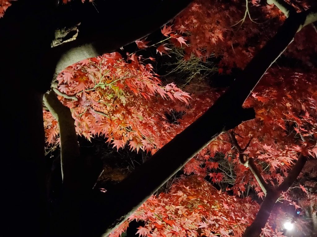 夜のもじみ回廊　日本画風の構図