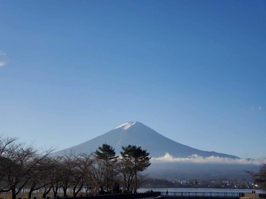 ウィークエンドシャッフルの近くからの眺め
