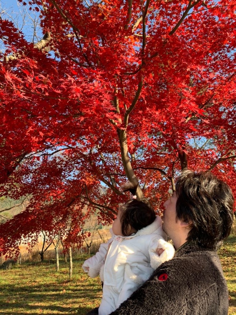 紅葉を見つめる小さな目
河口湖　湖畔